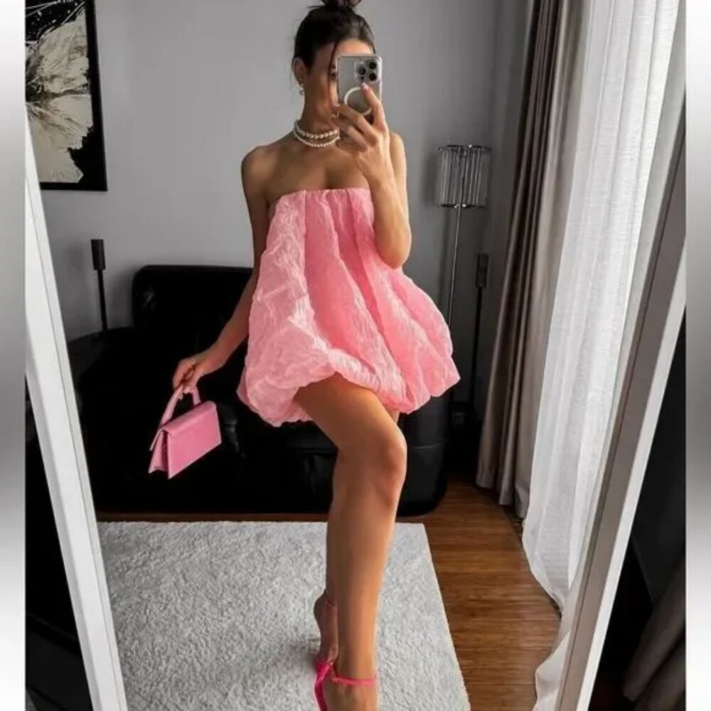 Zara Organza Balloon Mini Dress